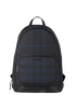 Rocco, front view